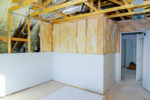 Best Insulation Maintenance and Repair in Roseau, MN