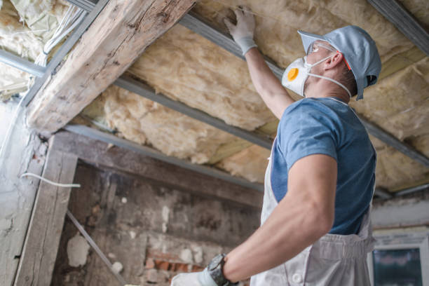 Best Residential Insulation in Roseau, MN